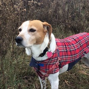 Meet your Posher, Paige